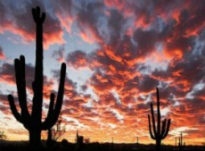 Desert_Sunset.jpg